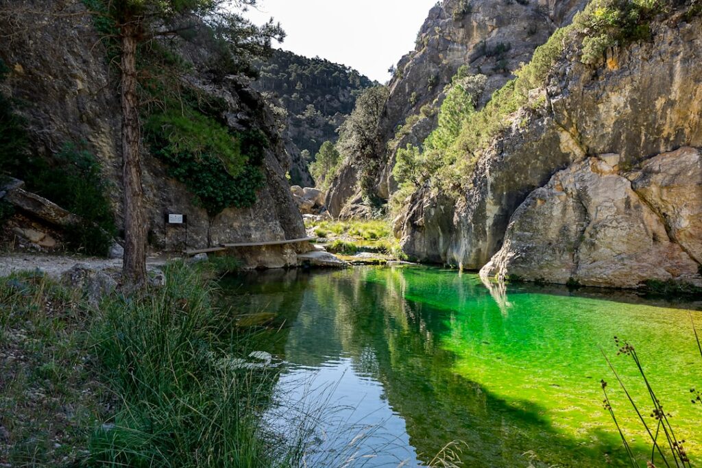 Green Kanyon Tekne Turu: Eşsiz Bir Doğa Harikası